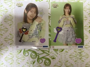 노미야 미키 콜레지오네