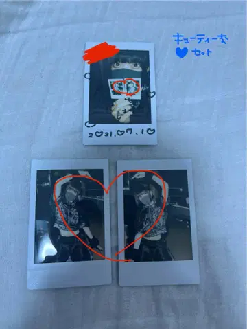 고양이 고양이 고양이 ZOCX 폴라로이드 3장 세트