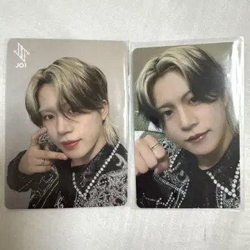 키마타 쇼야 도쿄돔  혜택