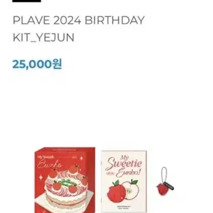 PLAVE BIRTHDAYKIT YEJUN EUNHO BAMBY 誕生日（PLAVE | 플레이브