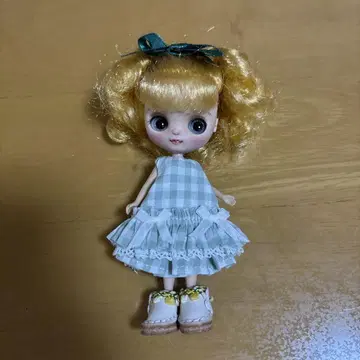 미니 브라이스 커스텀 씨