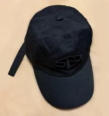 SF9 캡