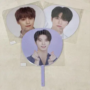 세븐틴 DINO 부채 3개 세트