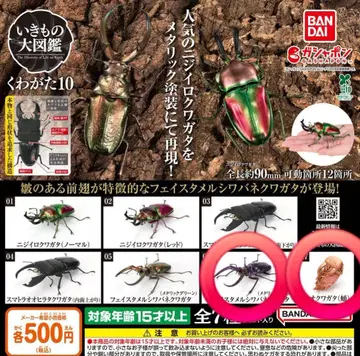 생물대도감 10 오오쿠와가타 번데기 페이스타멜 주름사슴벌레 퍼플