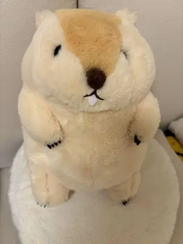 마모트 마모트의 모토모토 봉제 인형
