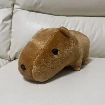 카피파라 봉제 인형 브라운 카피군 당일 발송