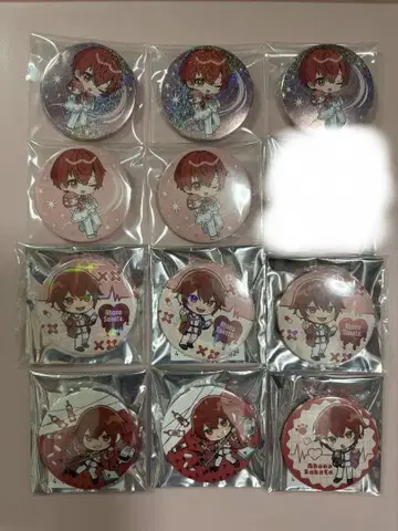 옆집 사카타 바보 사카타 캔뱃지