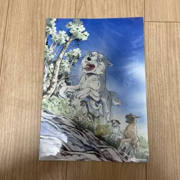 은의 이빨 전설 WEED 포스터 타카하시 요시히로
