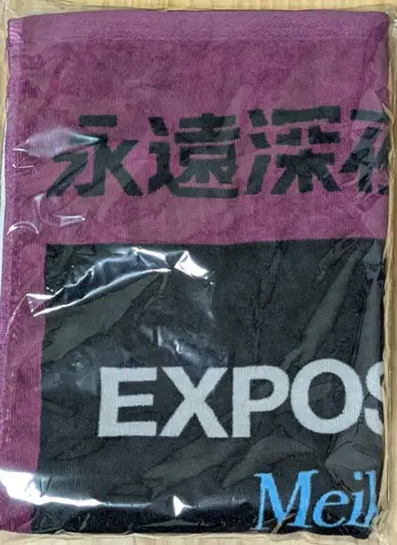ZTMY 전시회 수건 2