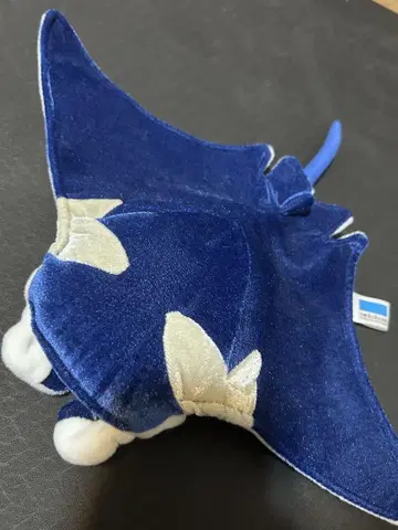 가오리 봉제 인형 미라쿠수족관