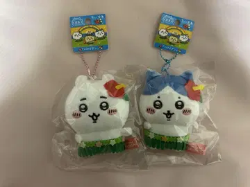 치이카와 하치와레 후쿠시마 한정판 하와이안 봉제 인형 키체인 세트