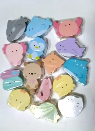 둥근 눈, 수족관, 나무 블록, 카드놀이