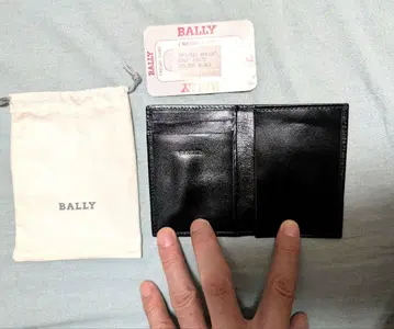 BALLY 교통카드, 명함, 수박, 신용카드 지갑