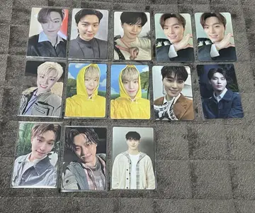 세븐틴 디노 트레이딩 카드 세트