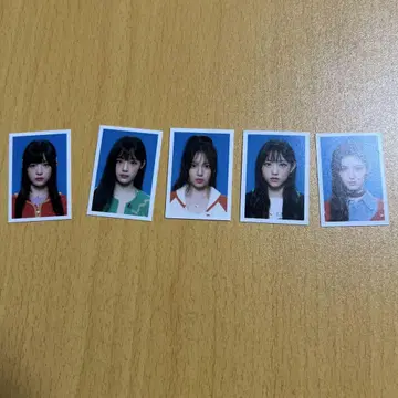 newjeans 2024 시그리 멤버 전원 증명 사진 공식 상품