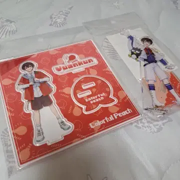 컬러풀 피치 유안군 정리