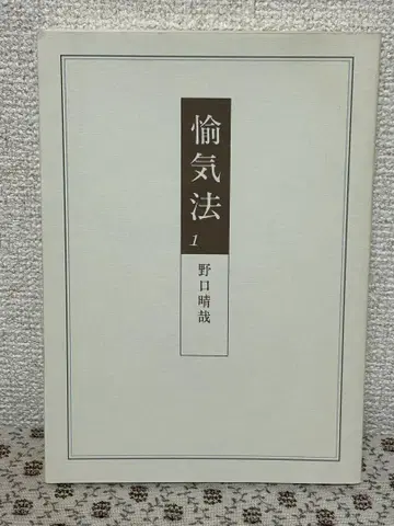 유기법 1 노구치 세이야 지음 전생사 노구치 정골법