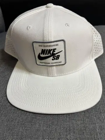 Nike SB 화이트 캡