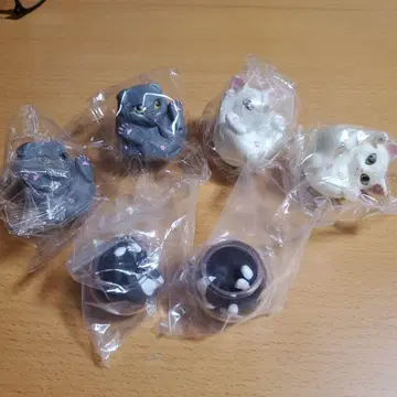 고양이 피규어 6종 세트