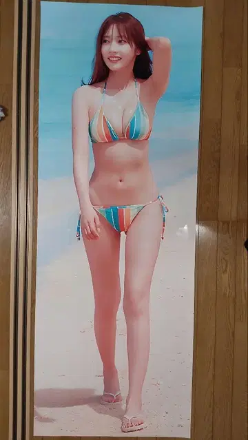 사노 히나코 등신대 포스터