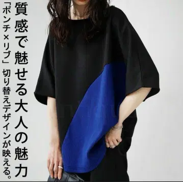 antiqua 안티카 분또 리브 절개 디자인 T