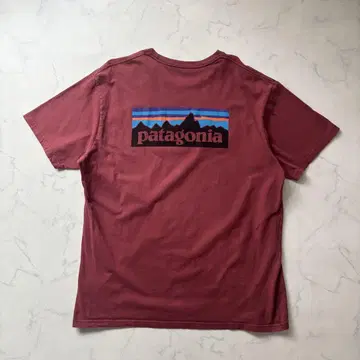 Patagonia 로고 티셔츠