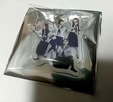 익명 배송 새로운 학교 리더 파랑 봄 멧돼지 아크릴 키링