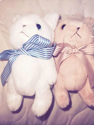 PINKHOUSE 고양이 브로치