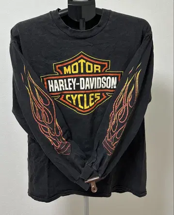 harley davidson 롱 T 롱 슬리브 파이어 프레임