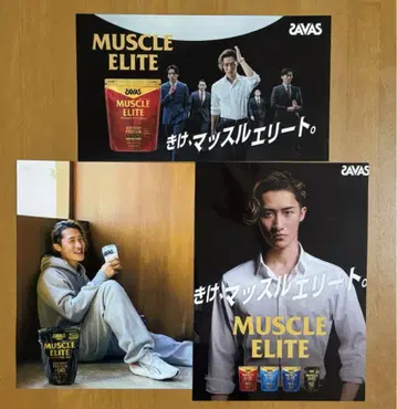 3장 세트 이와모토 테루 씨 포스터
