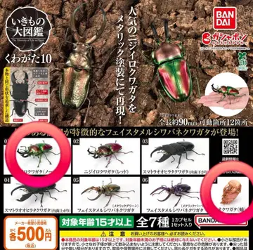 생물대도감 10 오쿠와가타 번데기 니지이로쿠와가타 노멀