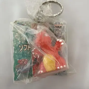 리자몽 스트랩 반프레스토