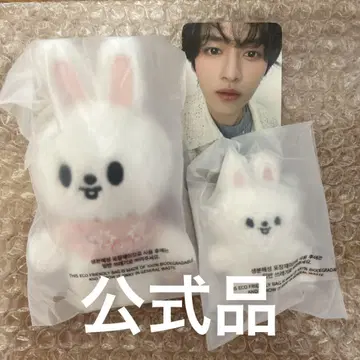 straykids 리노 Lee 비트 10cm 마이크로 키링 펜미