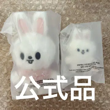 스트레이키즈