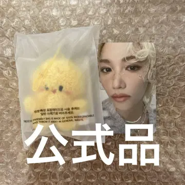 straykids 필릭스 포가리 마이크로 키링 펜미 트레이딩 카드