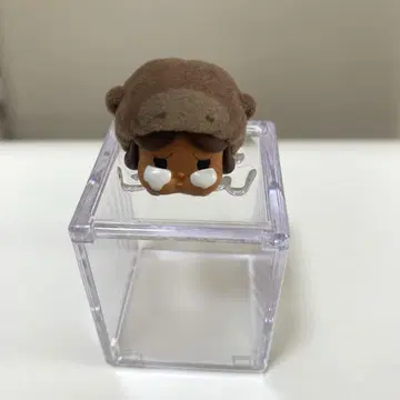 pop bean cry baby 시크릿
