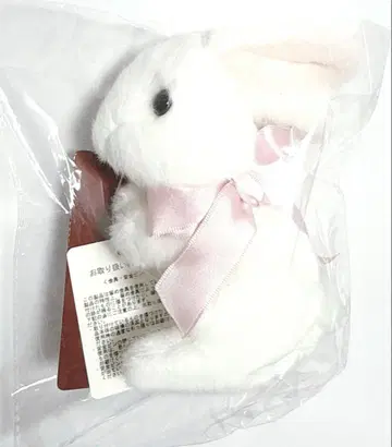 토끼 코사지