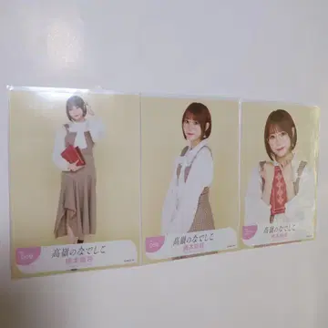 타카미네의 나데시코 하시모토 모모코 사진 컴프