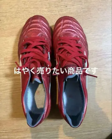 미즈노 모레리아 네오 2