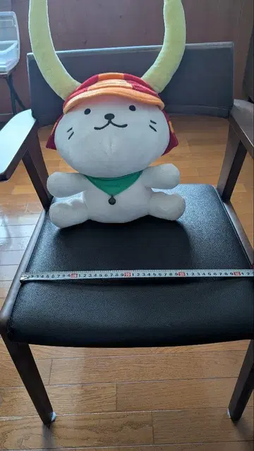 히코냐 30cm