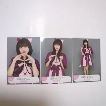 타카미네 나데시코 호시타니 미라이의 사진 컴프