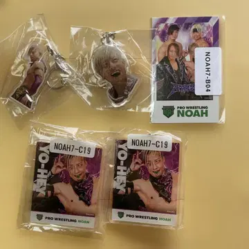 프로레슬링 NOAH YO-HEY 키링과 카드 세트