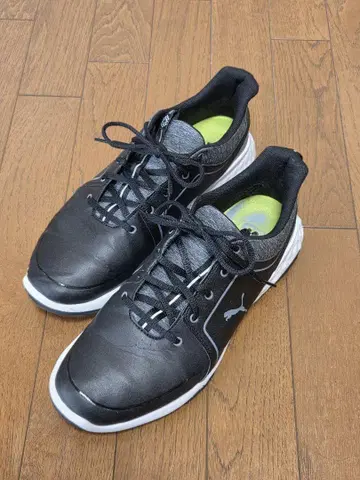 Puma 골프화