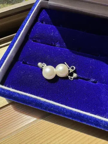 펄 귀걸이 화이트 귀걸이 세트