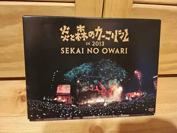 불꽃과 숲의 카니발 IN 2013 DVD