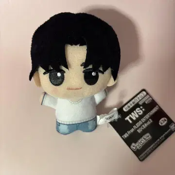 TWS 용제 SD 인형 봉제 인형 마스코트