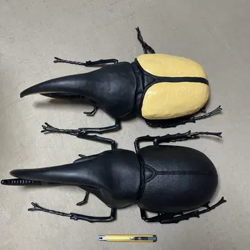 네프튠 오오카부토 헤라클레스 장수풍뎅이 빅 피규어 약 55cm