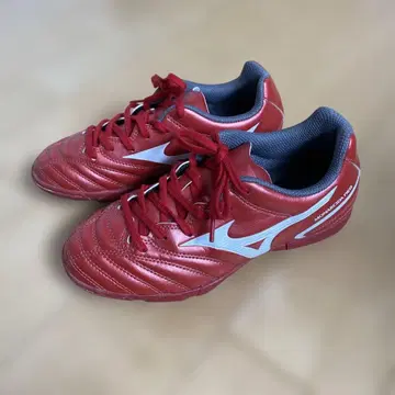 미즈노 모나르시다 축구 트레이닝 슈즈 21.5cm 몇 번 착용한 상품