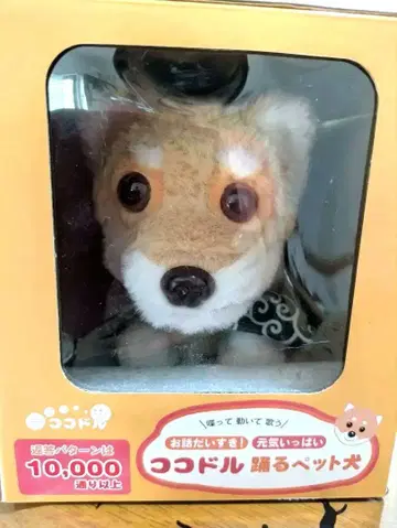 코코도루  춤추는 반려동물 개