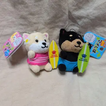 여행하는 콩 서퍼
